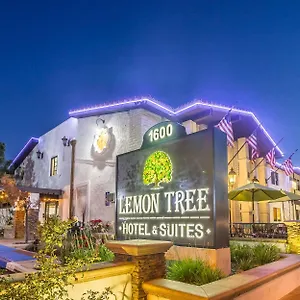 3* Hotel The Lemon Tree